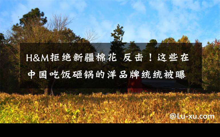 H&M拒绝新疆棉花 反击！这些在中国吃饭砸锅的洋品牌统统被曝光