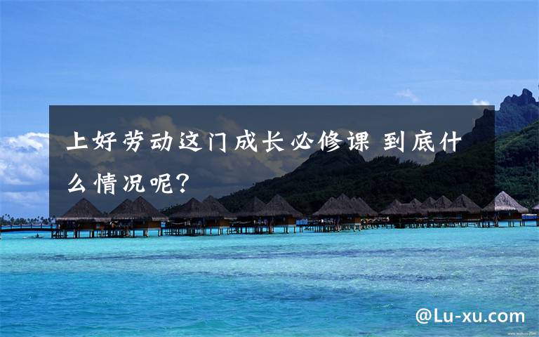 上好劳动这门成长必修课 到底什么情况呢？