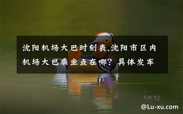 沈阳机场大巴时刻表,沈阳市区内机场大巴乘坐点在哪？具体发车时间？谢谢