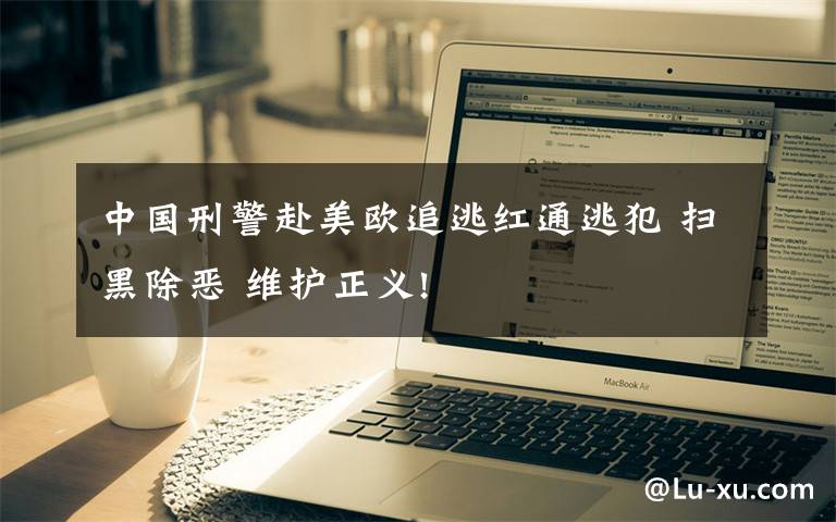 中国刑警赴美欧追逃红通逃犯 扫黑除恶 维护正义!