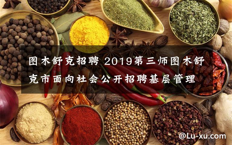 图木舒克招聘 2019第三师图木舒克市面向社会公开招聘基层管理储备人才简章