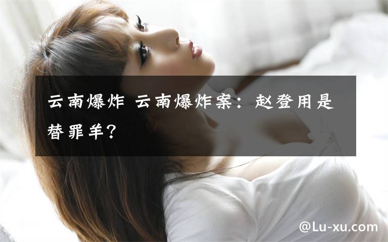 云南爆炸 云南爆炸案：赵登用是替罪羊？