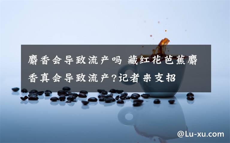 麝香会导致流产吗 藏红花芭蕉麝香真会导致流产?记者来支招