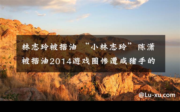 林志玲被揩油 “小林志玲”陈潇被揩油2014游戏圈惨遭咸猪手的女神