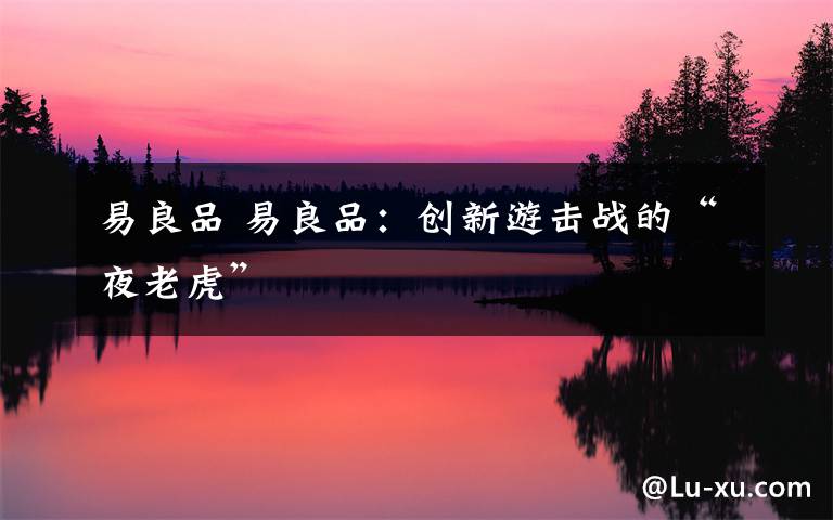 易良品 易良品：创新游击战的“夜老虎”