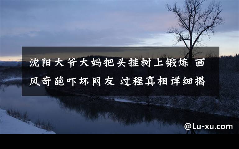 沈阳大爷大妈把头挂树上锻炼 画风奇葩吓坏网友 过程真相详细揭秘！