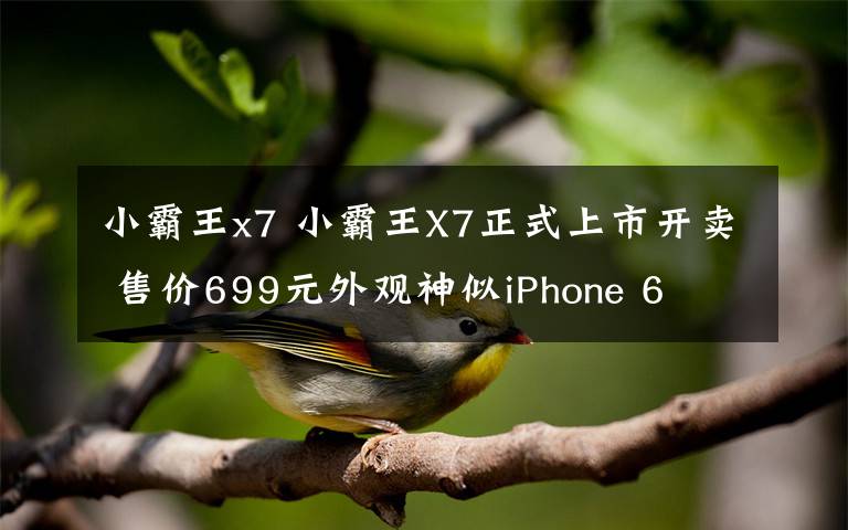 小霸王x7 小霸王X7正式上市开卖 售价699元外观神似iPhone 6