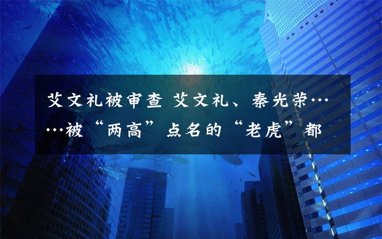 艾文礼被审查 艾文礼、秦光荣……被“两高”点名的“老虎”都是谁？