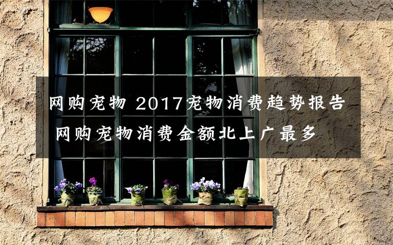 网购宠物 2017宠物消费趋势报告 网购宠物消费金额北上广最多