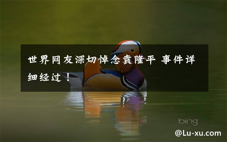 世界网友深切悼念袁隆平 事件详细经过！