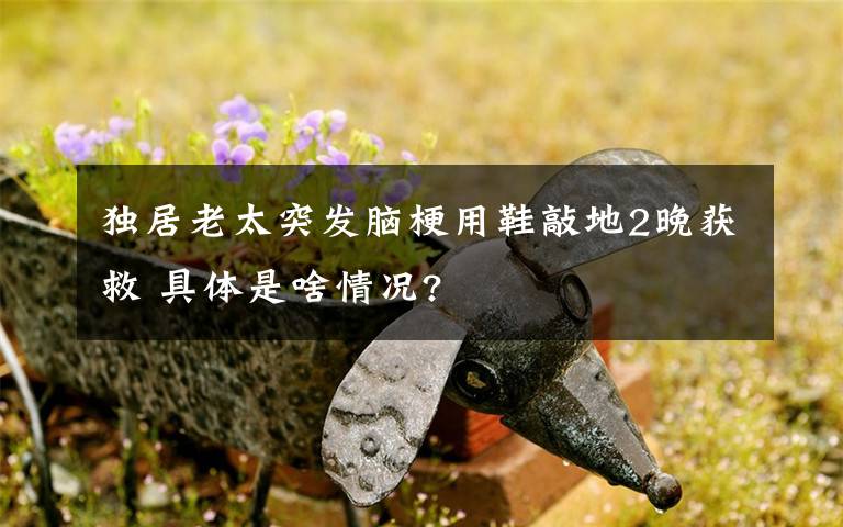 独居老太突发脑梗用鞋敲地2晚获救 具体是啥情况?