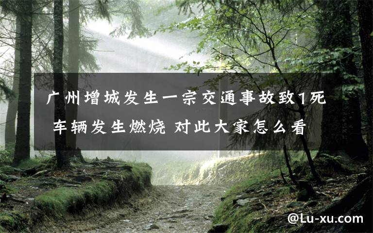 广州增城发生一宗交通事故致1死 车辆发生燃烧 对此大家怎么看？
