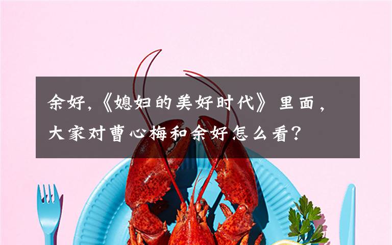 余好,《媳妇的美好时代》里面，大家对曹心梅和余好怎么看？