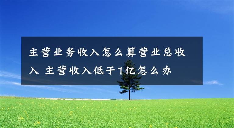 主营业务收入怎么算营业总收入 主营收入低于1亿怎么办