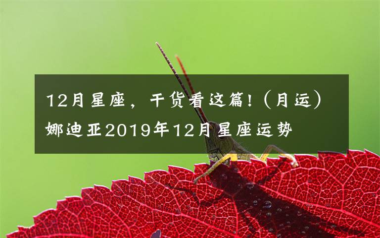 12月星座，干货看这篇!（月运）娜迪亚2019年12月星座运势