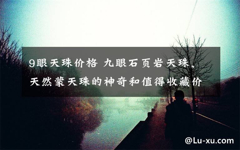 9眼天珠价格 九眼石页岩天珠，天然蒙天珠的神奇和值得收藏价值