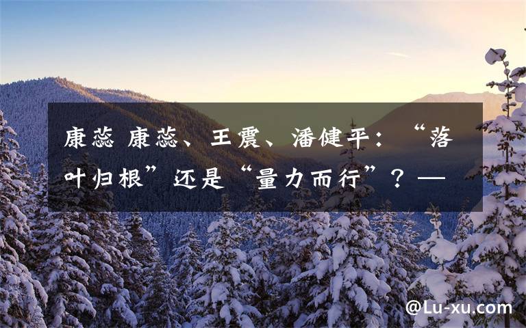 康蕊 康蕊、王震、潘健平：“落叶归根”还是“量力而行”？——退休农民工养老模式的影响因素研究