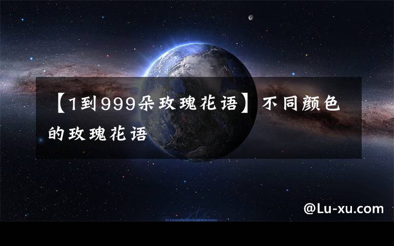 【1到999朵玫瑰花语】不同颜色的玫瑰花语
