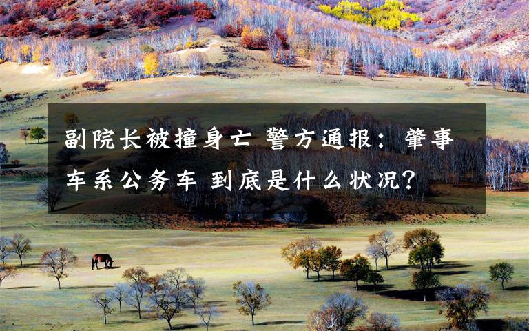 副院长被撞身亡 警方通报：肇事车系公务车 到底是什么状况？
