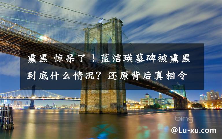 熏黑 惊呆了！蓝洁瑛墓碑被熏黑到底什么情况？还原背后真相令人气愤