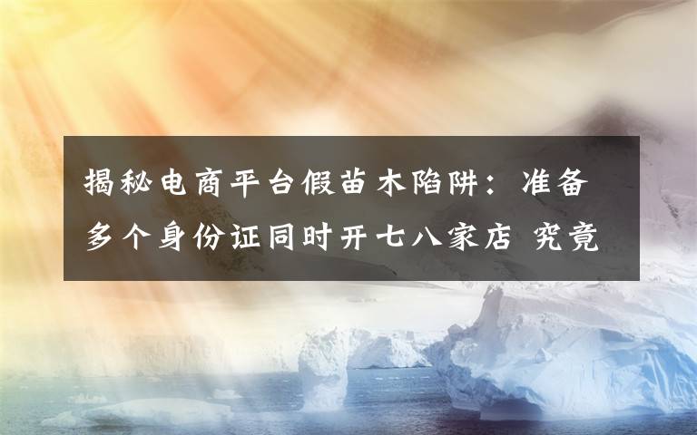 揭秘电商平台假苗木陷阱：准备多个身份证同时开七八家店 究竟发生了什么?