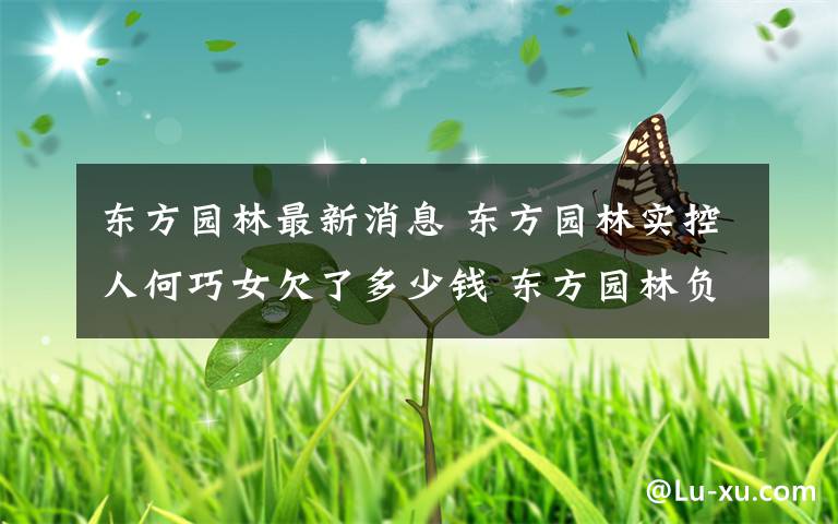 东方园林最新消息 东方园林实控人何巧女欠了多少钱 东方园林负债现状