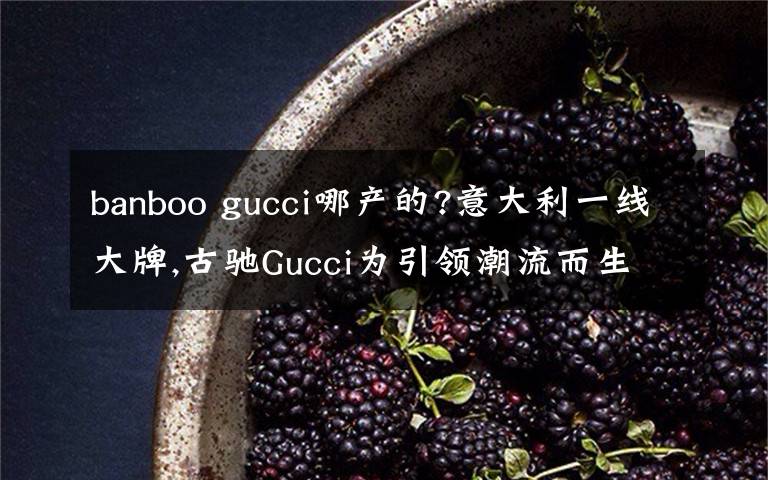 banboo gucci哪产的?意大利一线大牌,古驰Gucci为引领潮流而生