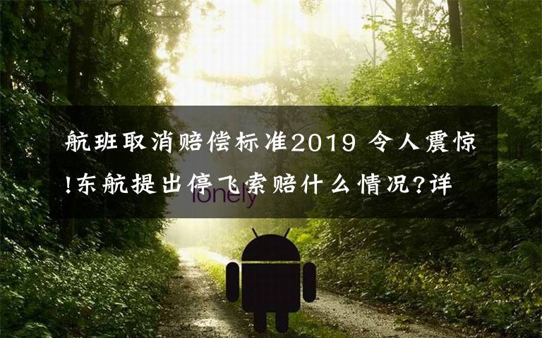 航班取消赔偿标准2019 令人震惊!东航提出停飞索赔什么情况?详情始末曝光终于真相了