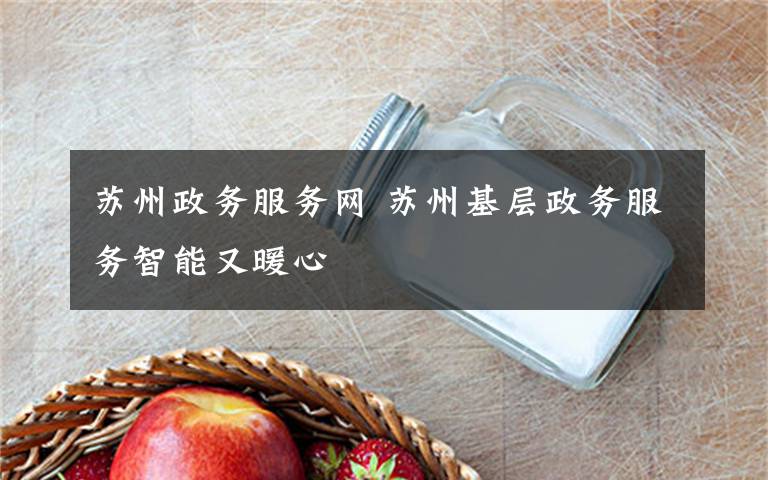 苏州政务服务网 苏州基层政务服务智能又暖心