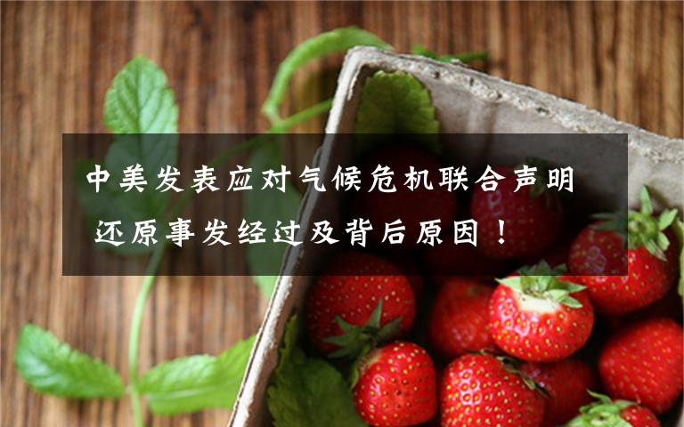 中美发表应对气候危机联合声明 还原事发经过及背后原因！