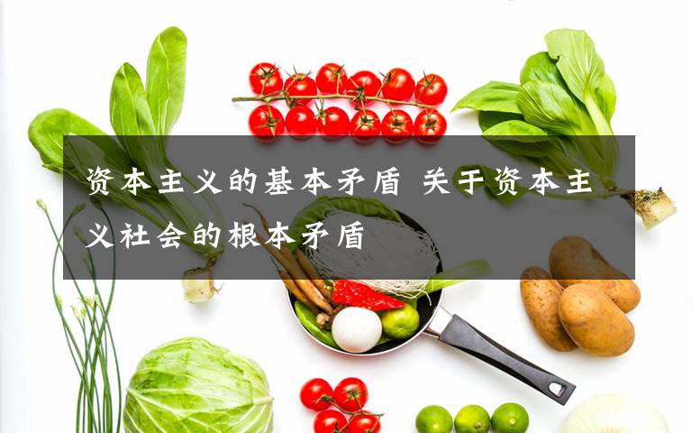 资本主义的基本矛盾 关于资本主义社会的根本矛盾