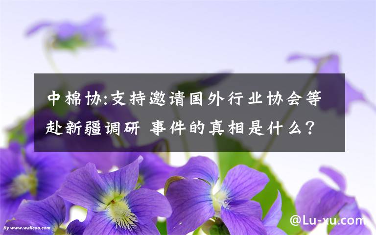 中棉协:支持邀请国外行业协会等赴新疆调研 事件的真相是什么？