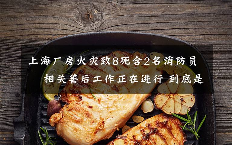上海厂房火灾致8死含2名消防员  相关善后工作正在进行 到底是什么状况？