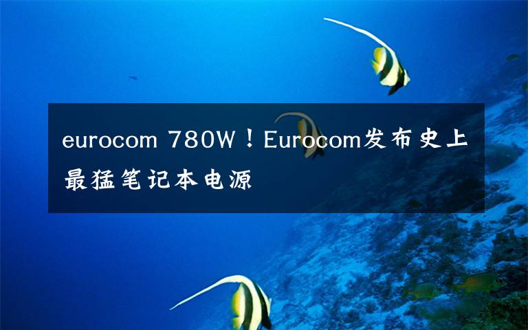 eurocom 780W！Eurocom发布史上最猛笔记本电源