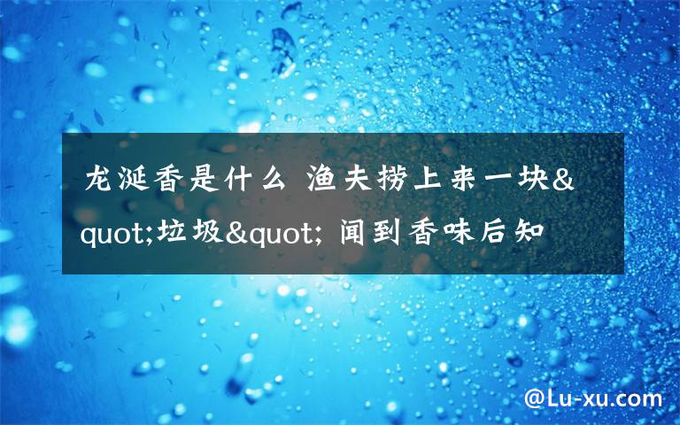 龙涎香是什么 渔夫捞上来一块"垃圾" 闻到香味后知道自己发了 龙涎香是什么？