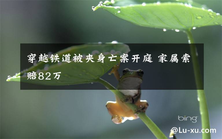 穿越铁道被夹身亡案开庭 家属索赔82万