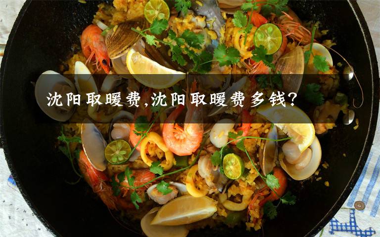 沈阳取暖费,沈阳取暖费多钱？