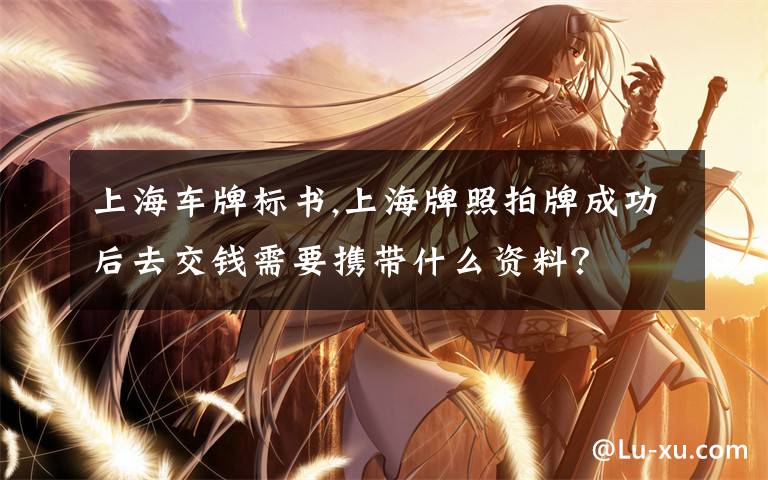 上海车牌标书,上海牌照拍牌成功后去交钱需要携带什么资料？