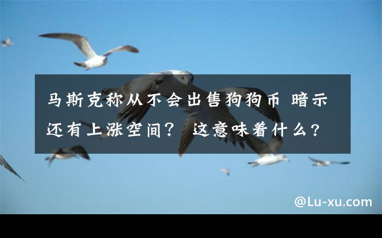 马斯克称从不会出售狗狗币 暗示还有上涨空间？ 这意味着什么?