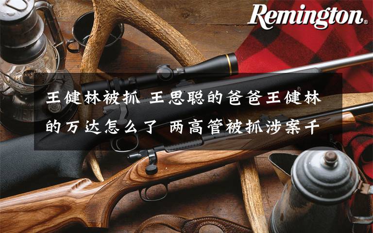王健林被抓 王思聪的爸爸王健林的万达怎么了 两高管被抓涉案千万