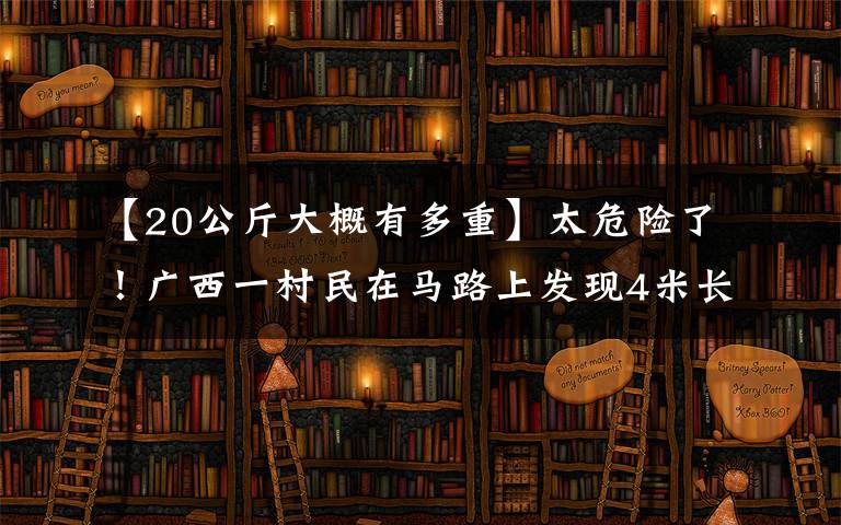 【20公斤大概有多重】太危险了！广西一村民在马路上发现4米长大蟒蛇，近20斤重