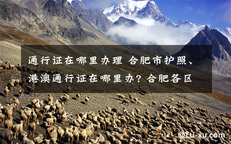 通行证在哪里办理 合肥市护照、港澳通行证在哪里办? 合肥各区县办理地点及电话一览