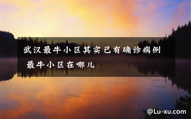 武汉最牛小区其实已有确诊病例 最牛小区在哪儿
