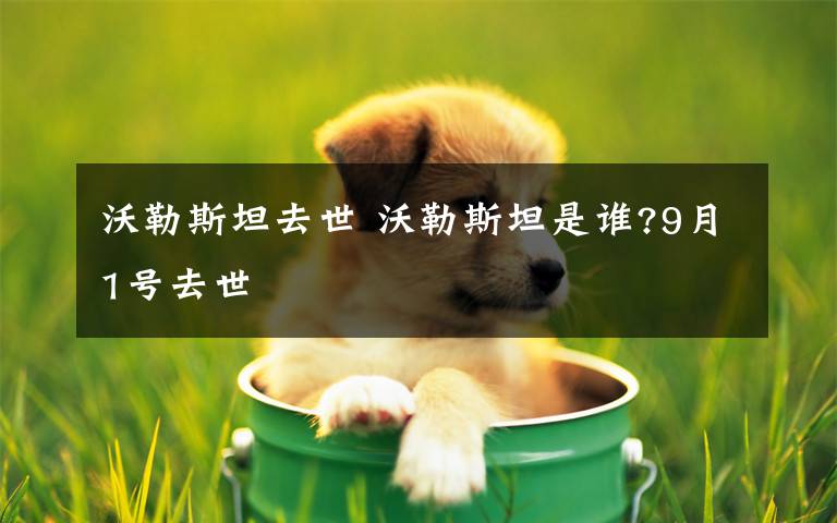 沃勒斯坦去世 沃勒斯坦是谁?9月1号去世