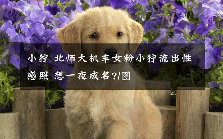 小狞 北师大机车女粉小狞流出性感照 想一夜成名?/图