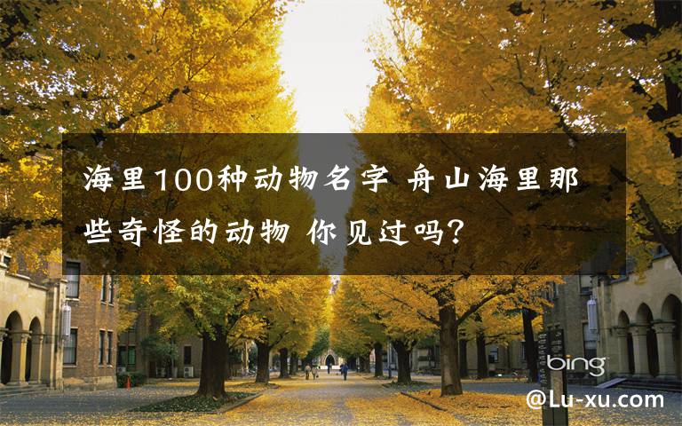 海里100种动物名字 舟山海里那些奇怪的动物 你见过吗？