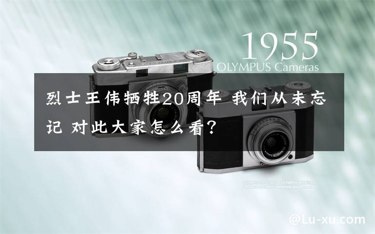 烈士王伟牺牲20周年 我们从未忘记 对此大家怎么看？