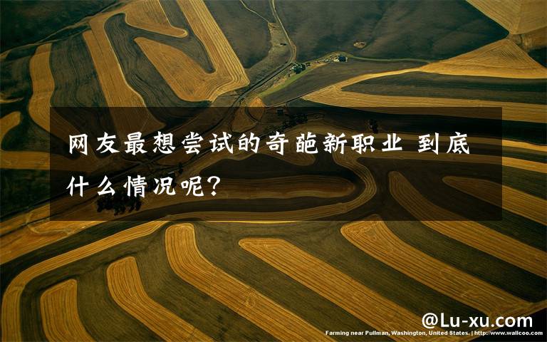 网友最想尝试的奇葩新职业 到底什么情况呢？