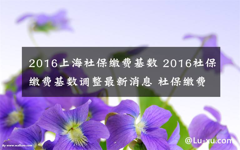 2016上海社保缴费基数 2016社保缴费基数调整最新消息 社保缴费基数怎么算