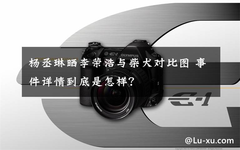 杨丞琳晒李荣浩与柴犬对比图 事件详情到底是怎样？